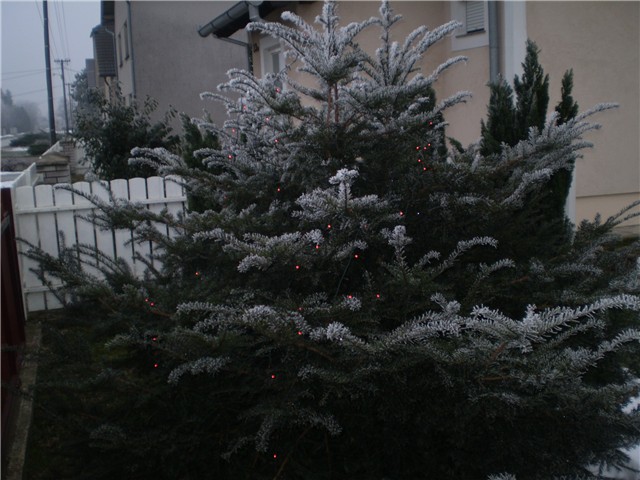stara godina